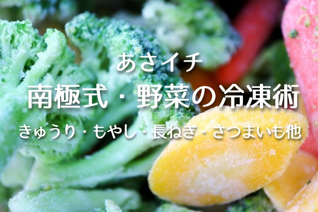 あさイチ【野菜の冷凍術・南極式！きゅうり・もやし・長ねぎ・さつまいも他】