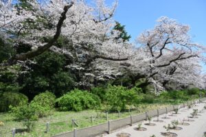 神代植物公園