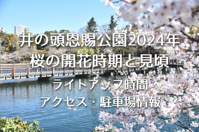 井の頭恩賜公園2024年の桜の開花時期と見頃は？ライトアップ時間やアクセス方法・駐車場情報も！