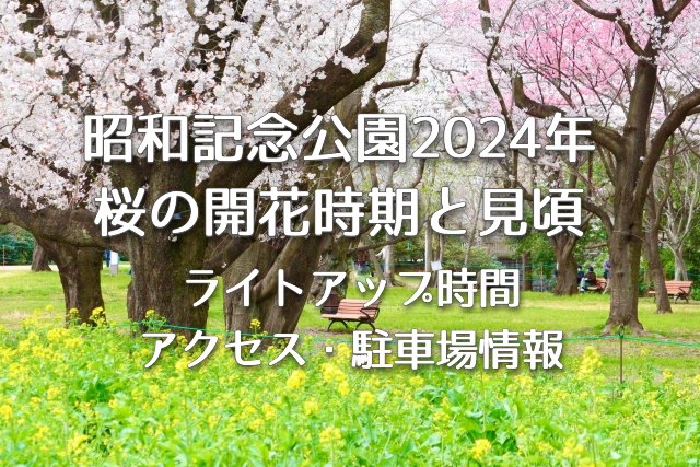 国営昭和記念公園 2024年の桜の開花時期と見頃・ライイトアップ時間はいつ？アクセス方法や駐車場情報も！
