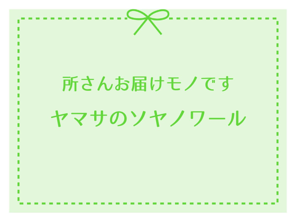 所さんお届けモノですでヤマサのソヤノワールについて紹介！口コミ・通販情報あり【焼きそば専用ソース】