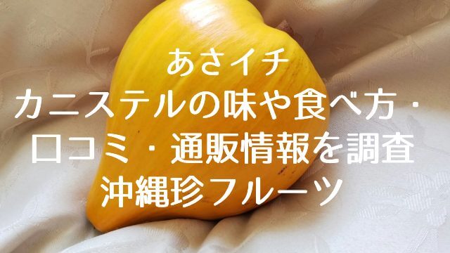 あさイチでカニステルについて紹介！味や食べ方・口コミ・通販情報を調査【沖縄珍フルーツ】