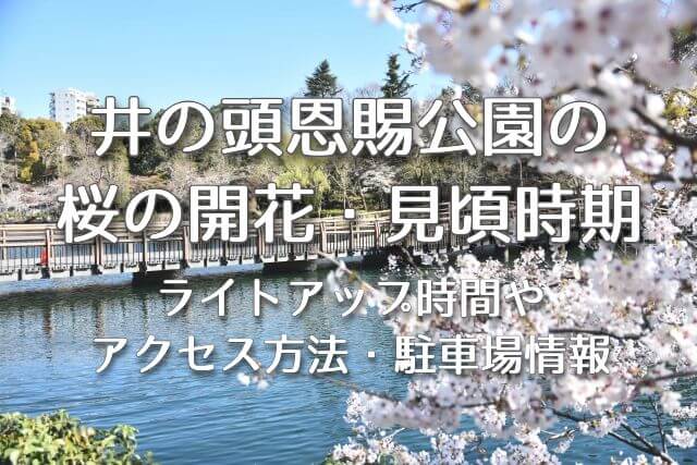 井の頭恩賜公園2025年の桜の開花時期と見頃は？ライトアップ時間やアクセス方法・駐車場情報も！